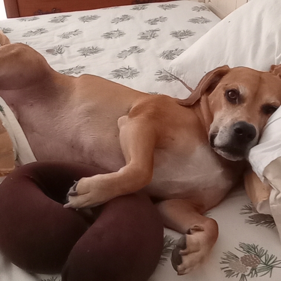 Meet your Posher, Rebecca - Picture 8 of 14